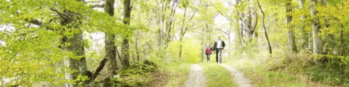 Bannière Département de la Creuse