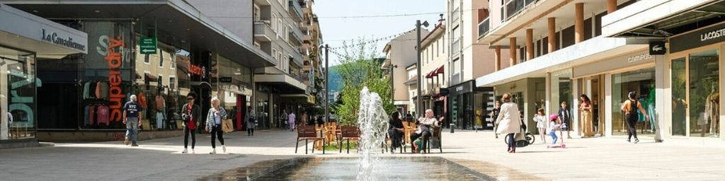 Bannière Ville d’Annemasse D.