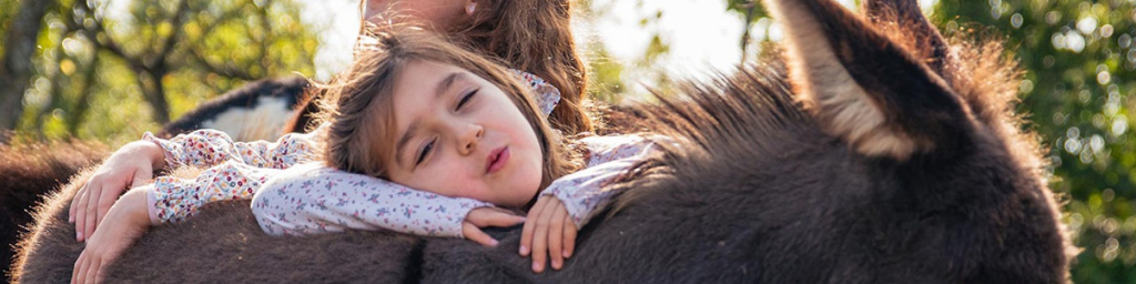 Bannière Département des Deux-Sèvres