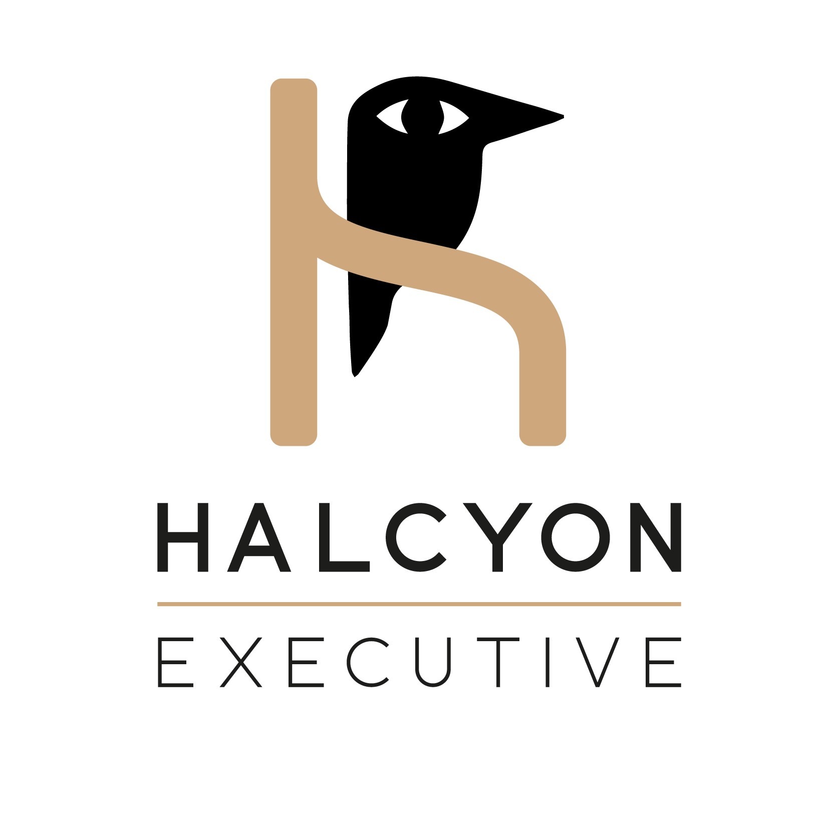 Logo de Halcyon Executive